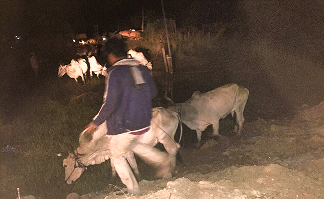 រទេះដឹកឈើខុសច្បាប់ចំនួន១៥ត្រូវរដ្ឋបាលព្រៃឈើចាប់ទាំងបង្ខំចិត្ត