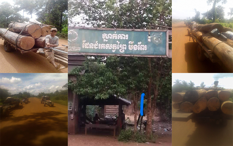 ឈើដែល​ឈ្មួញ​ដឹក​ឆ្លង​កាត់​កន្លង​មក